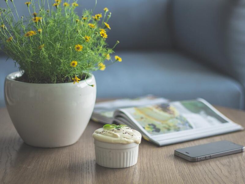 Ceramic Planter with Drainage Hole, 6 in
