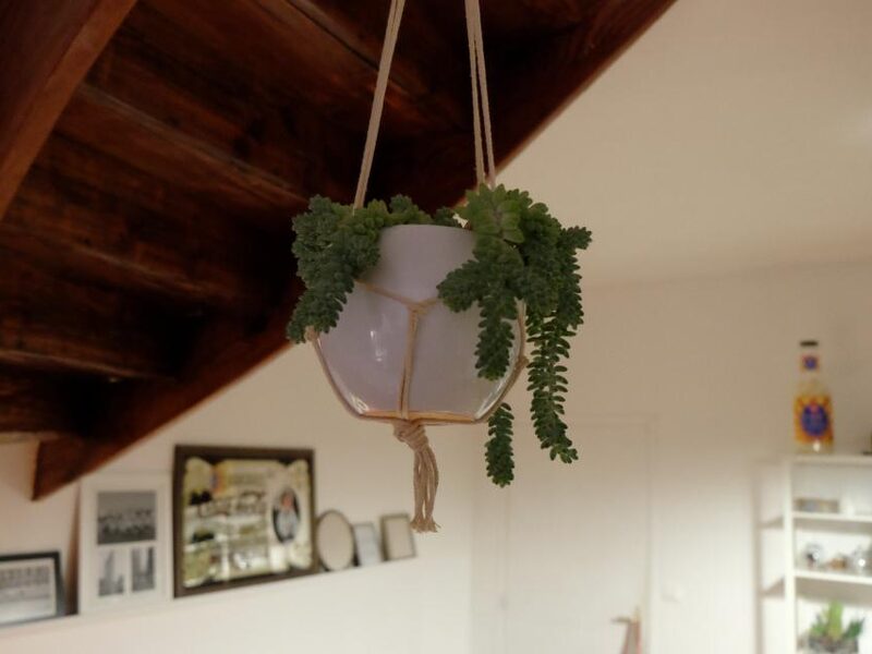 Macrame Plant Hanger, Set of 3