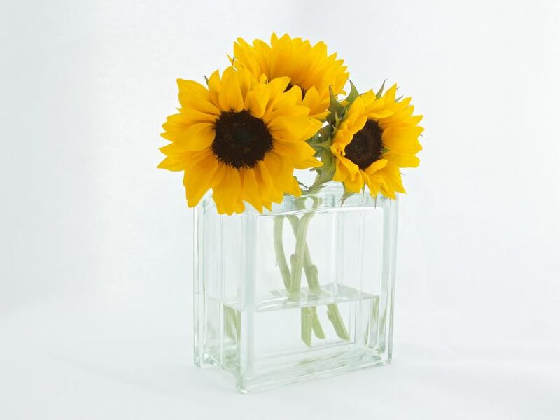 Rectangular Glass Flower Vase